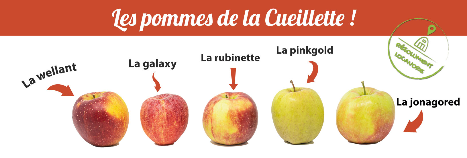 les pommes de la cueillette