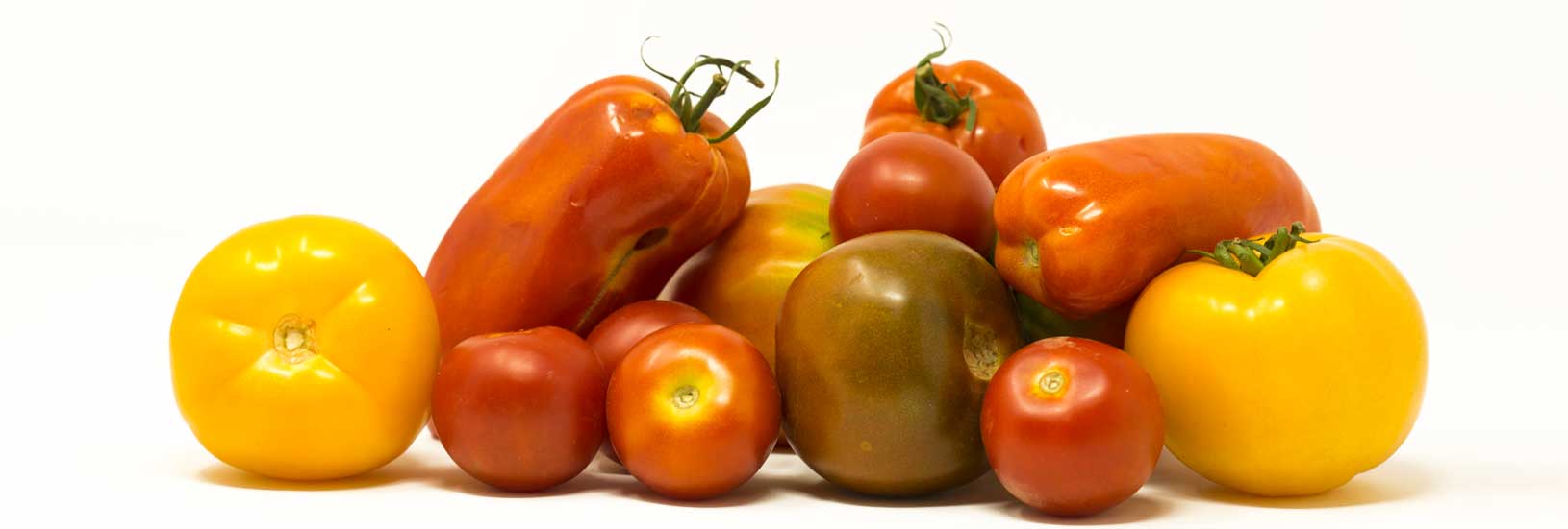 slidetomates