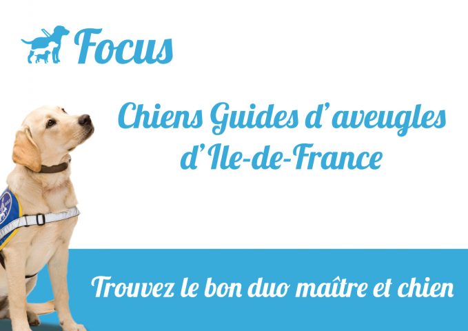 les chiens guides d'aveugles de coubert