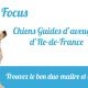 les chiens guides d'aveugles de coubert