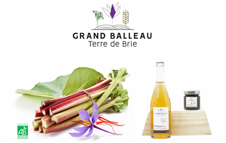 la ferme du grand balleau terre de Brie, focus producteur